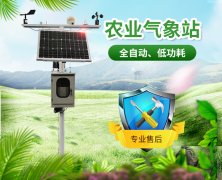 山東地區(qū)無公害葡萄種植需要什么條件？